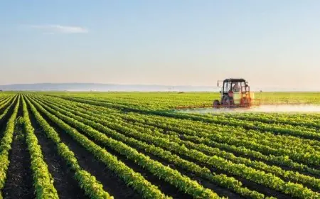 Le Maroc affiche une croissance de 4,9% en 2025, portée par l’agriculture