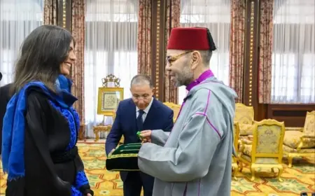Le Roi Mohammed VI reçoit et décore Nawal Safnadla après son exploit à l’Everest et au Lhotse