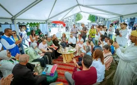 La Ville de Tiznit enchante Grenoble lors de la Fête des Tuiles