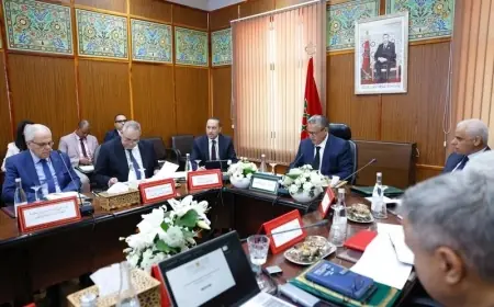 أخنوش يترأس أول مجلس إدارة للمجموعة الصحية الترابية بجهة فاس-مكناس