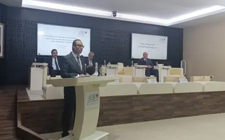 المجلس الاقتصادي والاجتماعي والبيئي يقدم رأيه حول السلوك المدني في الفضاءات العمومية