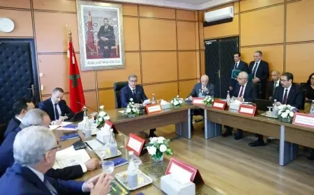 أخنوش يترأس أول مجلس إداري للمجموعة الصحية الترابية بجهة الدار البيضاء - سطات