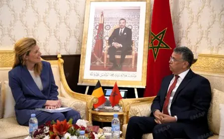 وهبي يتباحث مع وزيرة العدل البلجيكية لتعزيز التعاون القانوني والقضائي بالرباط