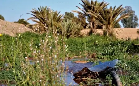 توقعات أحوال الطقس اليوم الثلاثاء بالمغرب