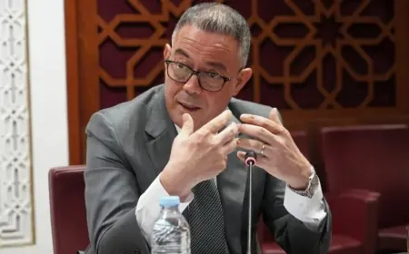 لقجع يعلن استعداد الحكومة لإلغاء ”مؤشر الهاتف” بسبب حرمان مواطنين من الدعم الاجتماعي