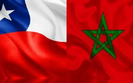 Rabat accueille ProChile : 16 entreprises chiliennes à la conquête du marché nord-africain des fruits