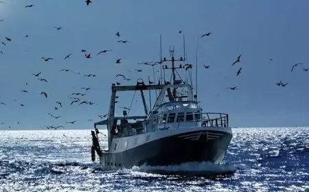 Pêche côtière et artisanale : Hausse de 8% des débarquements à fin mai 2026