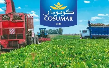 مجموعة ”كوسومار” تطلق موسم القلع وتضخ 3 مليارات درهم لإنعاش الاقتصاد القروي