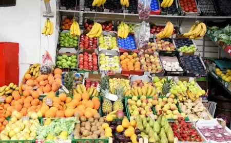 ارتفاع أسعار الفواكه الموسمية بالأسواق المغربية يجر وزير الفلاحة إلى المساءلة بالبرلمان