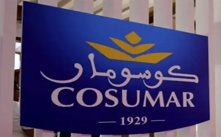COSUMAR lance la campagne d’arrachage et injecte 3 milliards de dirhams dans l’économie rurale