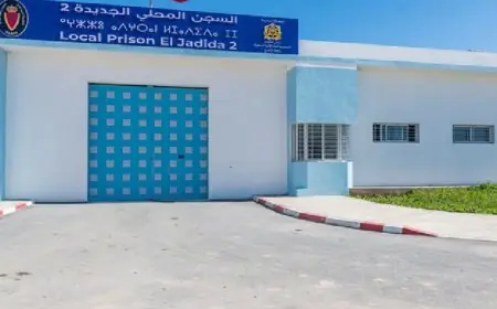 إدارة السجن المحلي الجديدة 2 تنفي مزاعم حرمان سعيدة العلمي من الاتصال بعائلتها