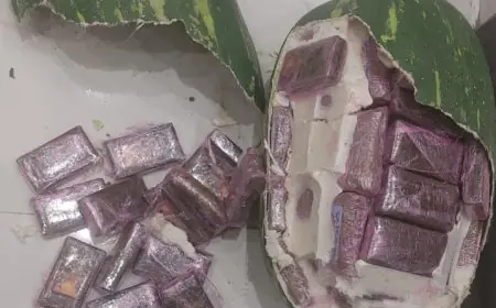 تفكيك شبكة دولية لتهريب المخدرات وحجز 700 كلغ من "الشيرا" بطنجة