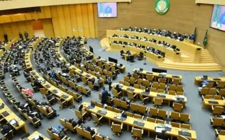 Union africaine : Le Maroc renforce son influence avec 9 nouveaux postes de responsabilité