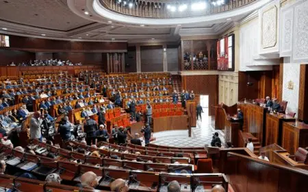 المعارضة تدعو إلى اجتماع لتشكيل لجنة نيابية لتقصي الحقائق حول دعم استيراد المواشي