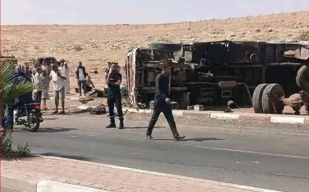 انقلاب شاحنة بالبروج يسفر عن نفوق خمسة خيول