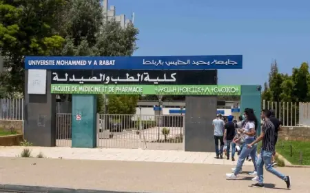وزارة التعليم العالي تحدد عتبة الولوج لكليات الطب والصيدلة وطب الأسنان للموسم الجامعي المقبل