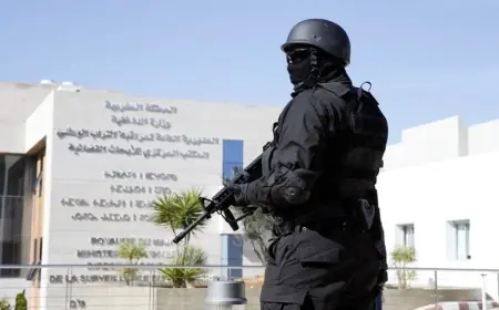 توقيف عنصر موالي لتنظيم "داعش" في بركان وحامل لمشاريع تخريبية بالمملكة