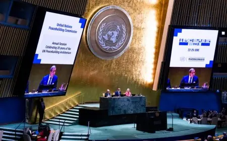 ONU : Omar Hilale préside à New York la session des 20 ans de la Commission de consolidation de la paix