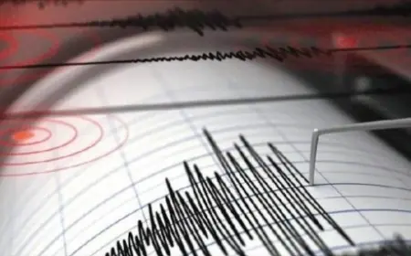 زلزال بقوة 5.6 درجات يضرب وسط اليابان قرب العاصمة طوكيو