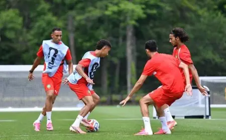 المنتخب المغربي يجري أول حصة تدريبية في مونتيري بالمكسيك استعدادًا لمواجهة هولندا
