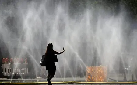 Allemagne : 41,5°C à Mockern-Dorvitz, la barre des 41°C franchie deux jours de suite