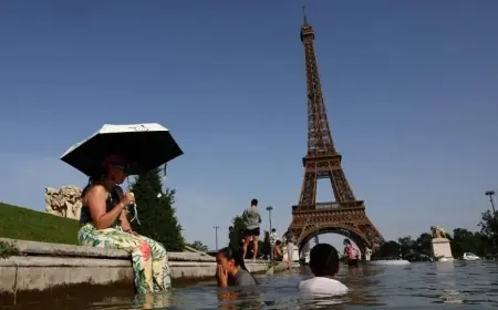 Canicule en France : 1000 décès en excès enregistrés, selon Santé Publique France
