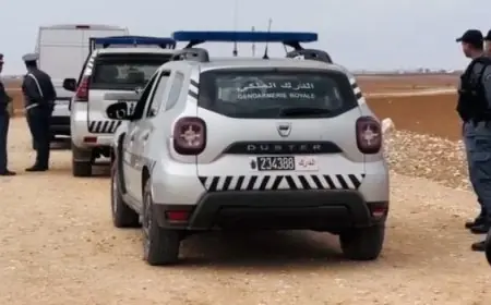 تفكيك مستودع سري للممنوعات وحجز طن ونصف من مخدر الشيرا بطنجة