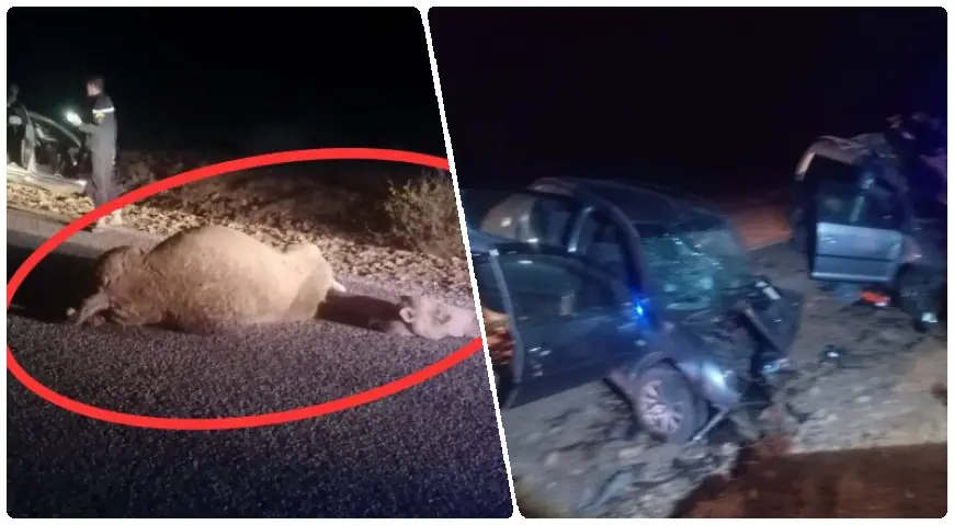 3 وفيات في حادث سير مأساوي بإقليم زاكورة بعد اصطدام سيارتين بقطيع جمال