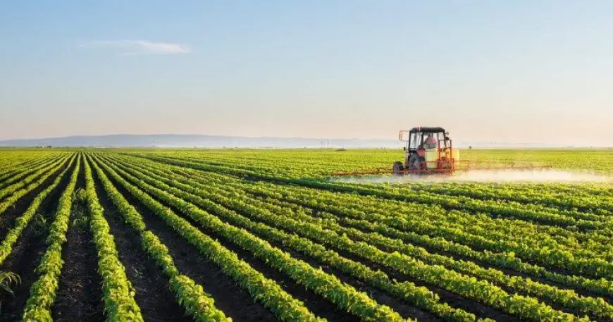 Le Maroc affiche une croissance de 4,9% en 2025, portée par l’agriculture