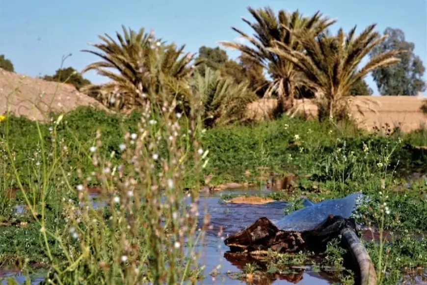 توقعات أحوال الطقس اليوم الثلاثاء بالمغرب