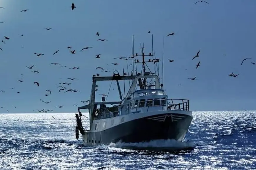 Pêche côtière et artisanale : Hausse de 8% des débarquements à fin mai 2026