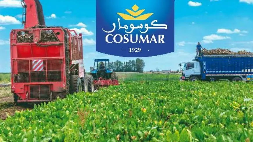 مجموعة ”كوسومار” تطلق موسم القلع وتضخ 3 مليارات درهم لإنعاش الاقتصاد القروي