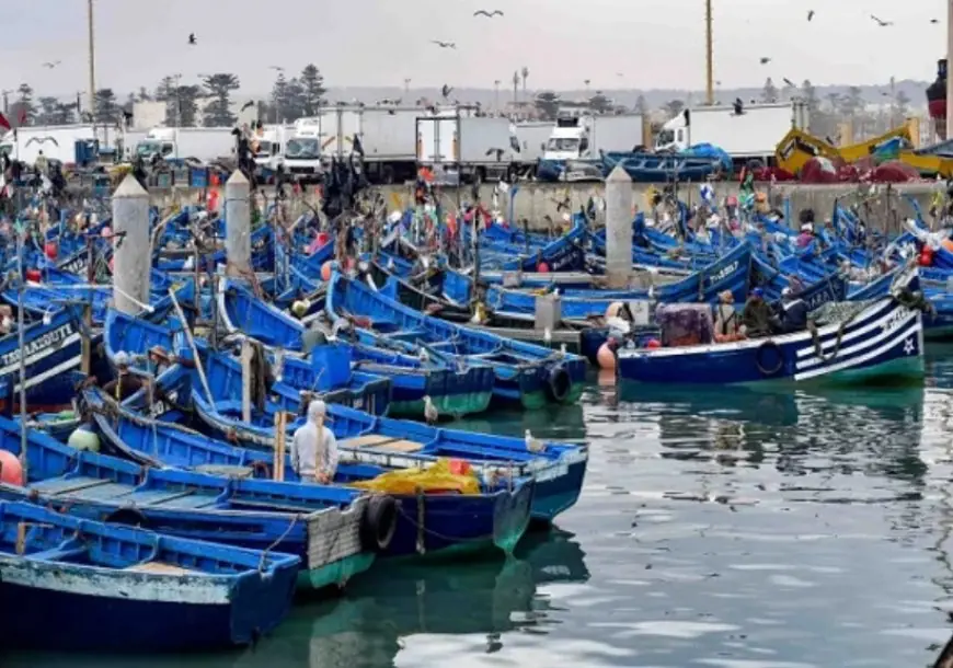مفرغات الصيد بميناء طنجة ترتفع بـ 66% مقابل تراجع بـ 18% على الصعيد الوطني مع متم ماي 2026