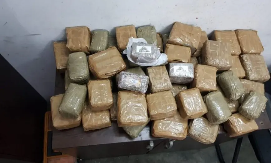 الأمن والجمارك يحبطان محاولة تهريب 753 كيلوغراما من مخدر الشيرا بميناء طنجة المتوسط