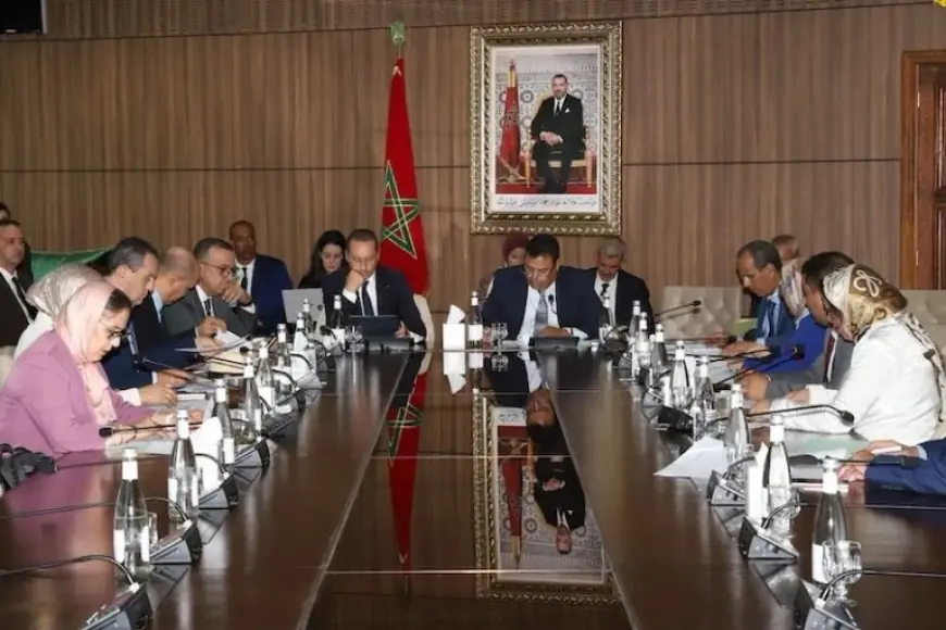 مجلس المستشارين يصادق على تعديلات جديدة لمدونة الأدوية والصيدلة