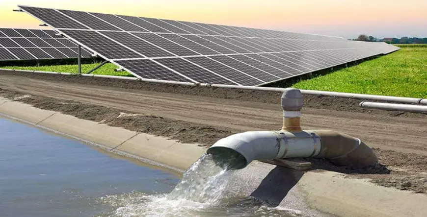 Agroalimentaire : Le patronat français MEDEF veut accélérer ses investissements au Maroc avec l’irrigation solaire