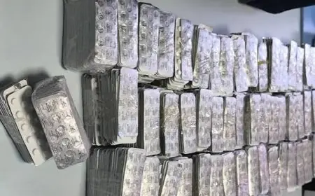 إحباط محاولة تهريب أكثر من 14 ألف قرص مخدر بميناء طنجة المتوسط