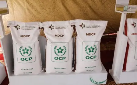 Engrais : Le Brésil place le Maroc au cœur de son plan d’urgence pour sécuriser la campagne 2026-2027