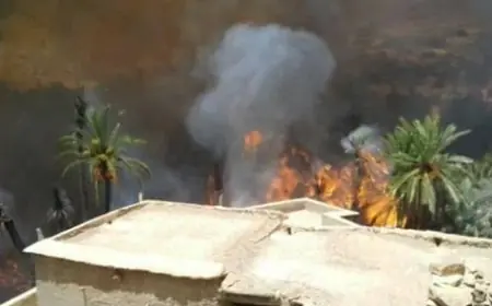 حريق يلتهم واحة أكرض بطاطا واستنفار للسلطات المحلية