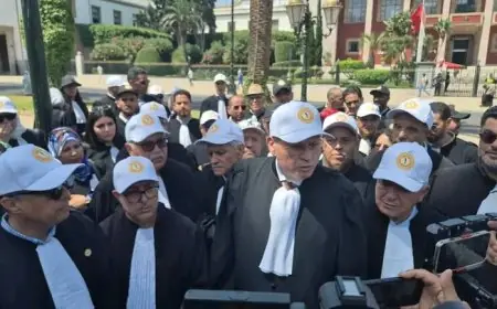 برلمانيون محامون يختارون الأحزاب على المهنة.. غضب عارم داخل أسرة الدفاع بسبب التصويت على قانون المحاماة