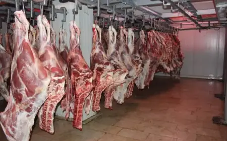 أسعار اللحوم الحمراء تنخفض بأسواق الجملة في المغرب وتصل إلى 105 دراهم