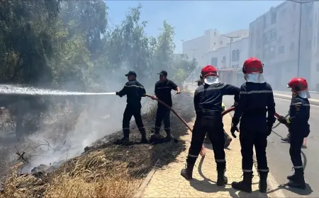 حريق مهول يلتهم أجزاء من غابة ظهر المهراز بفاس ويستنفر السلطات
