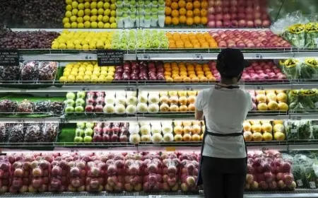 الفاو: تراجع طفيف في أسعار الغذاء العالمية خلال يونيو 2026