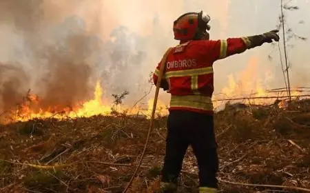 Incendies au Portugal : Lisbonne sollicite l’aide du Maroc, de l’Espagne et de l’UE face à la canicule