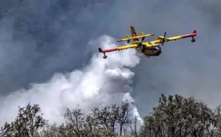 Incendies au Portugal : Le Maroc et l’Espagne envoient une aide d’urgence pour lutter contre 5 grands feux