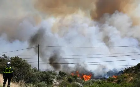 Incendies en Europe : des milliers d’hectares ravagés en France, Espagne et Portugal sous une vague de chaleur