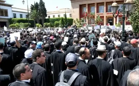 لجنة العدل بمجلس المستشارين تصادق بالأغلبية على مشروع قانون المحاماة
