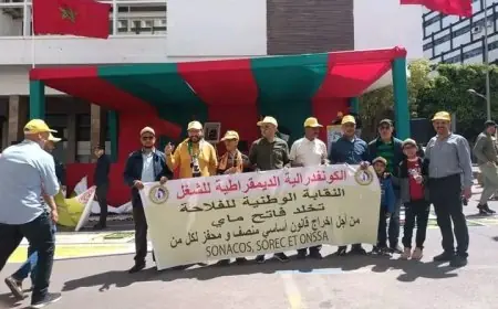 استهداف المناضلين يدفع نقابة للتصعيد ضد المديرة الجهوية للفلاحة بمراكش
