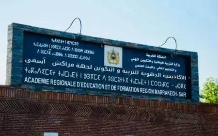 بعد سحب النتائج.. منظمة حقوقية تطالب بتوضيحات عاجلة حول "ارتباك" الحركة الانتقالية بجهة مراكش آسفي
