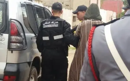 توقيف مشتبه فيه بتخريب جدارية فنية بسيدي وساي بعد انتشار فيديو يوثق الواقعة
